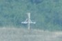 what is the cross doing here