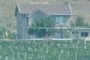 house with grapeyard