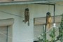 wind chimes