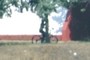 Distant Cyclist