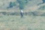 Furthest person from camera?