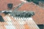 Stork Nest?