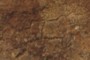 Petroglyphs