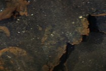 11423-210x140