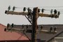The old good electric pillar.