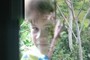 Waimea on the lanai.