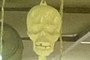 Skelleton