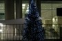 Christmas Tree 1