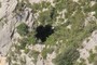 Black Hole