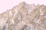 Summit of Mt. Dade