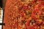 The Little Prince in autumn