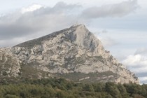 11868-210x140