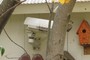 surveillance camera