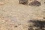 Snapshot for comarison with 09 gigapan