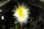 glass star