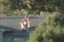 Shirtless on the roof