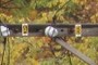 Telephone poles