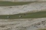 A long walk