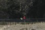 A trail circles the course