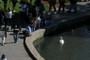 Palace of Fine Arts Lagoon