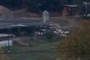 are these sheep? or cattle?