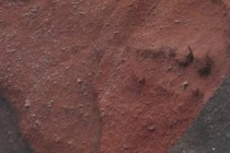 11784-210x140