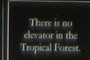 No Elevator