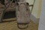 Apatosaurus