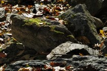107279-210x140