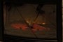 Chimenea