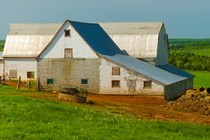 11936-210x140