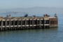 San Francisco Bay 