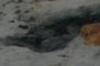 Detailed imprint