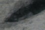 Max closeup of toe track. 