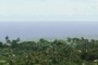 the ocean