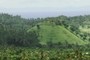 hill