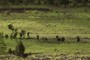 farmers