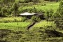 farmers hut
