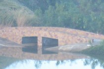 108463-210x140