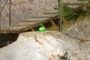Easter Egg