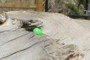 Easter Egg