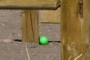 Easter egg