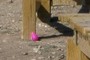 Easter egg