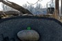 green egg