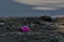 purple     egg