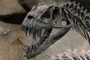 Ceratosaurus