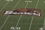 Beaver Nation