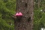Pink Peeps!