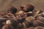 Chestnuts
