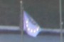 European flag